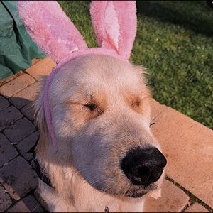 Meet your Posher, Mary grace